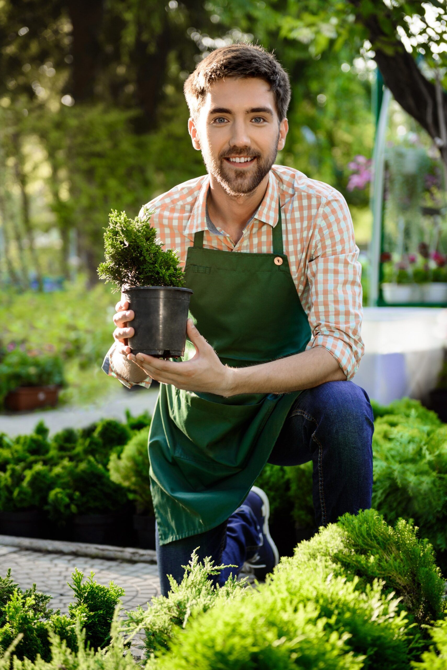 freepik__upload__56311 Green Life Landscape|Home